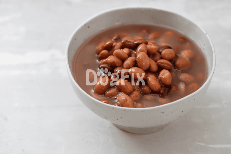 A bowl of nutritious bean soup for dogs, promoting health and wellness.