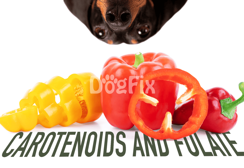 Close-up of colorful bell peppers including yellow, red, and orange, emphasizing healthy ingredients.