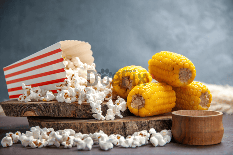 Bright yellow corn on the cob with a wooden bowl, popcorn spilled on a rustic wood surface.