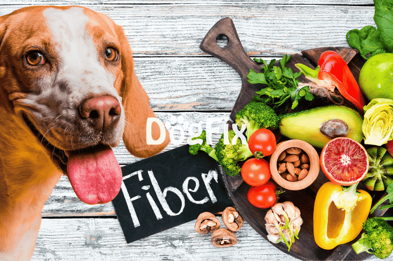 Fiber