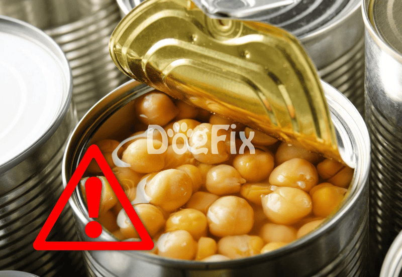 High-quality canned chickpeas, ideal for dog nutrition, available at Dogfix.com.