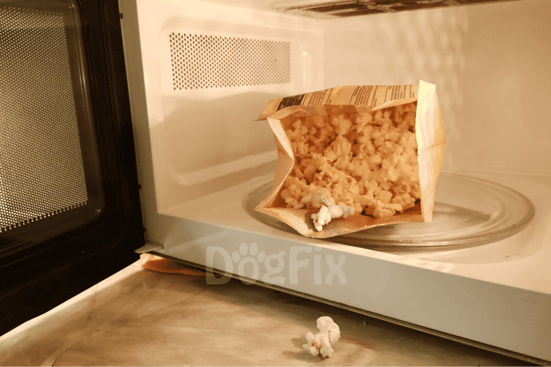 Dog food in microwave container with popcorn, healthy dog treats for pet nutrition, easy feeding tips.