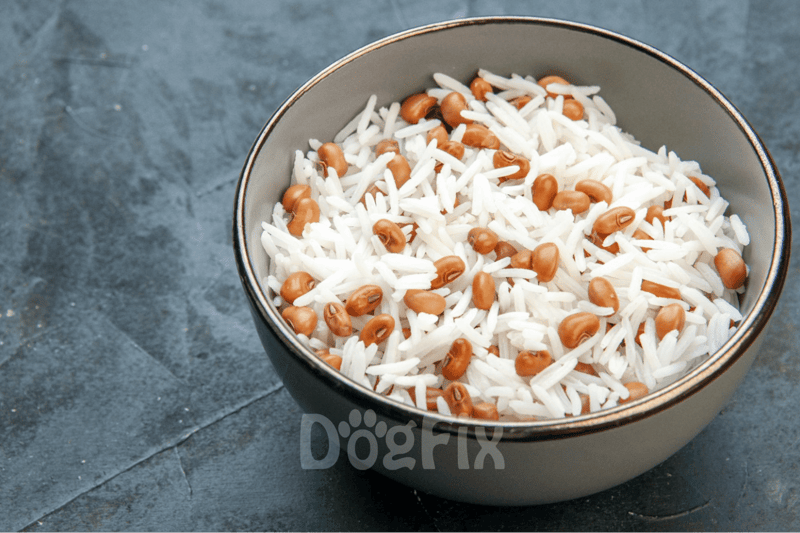 Dog-friendly rice and beans in a bowl for healthy dog nutrition.