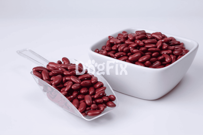 High-quality red kidney beans in bowls for dog nutrition, safe and healthy for pups.