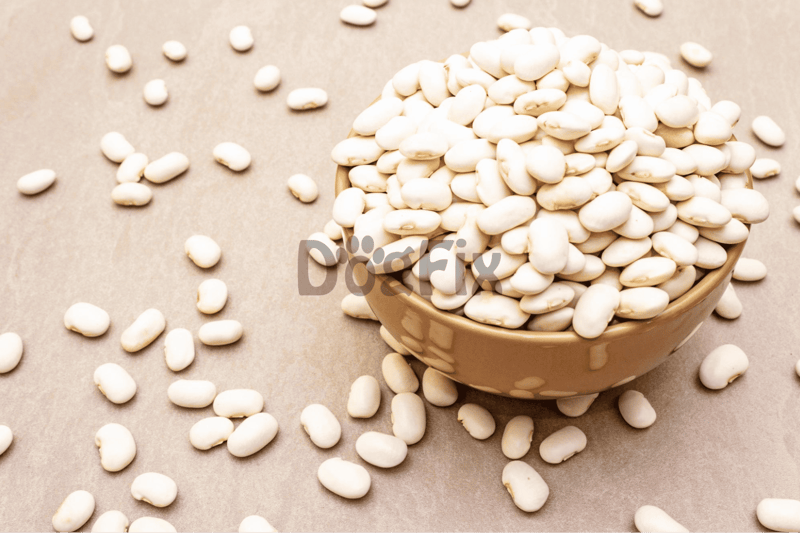 All-natural white bean dog treats in a bowl with scattered beans.