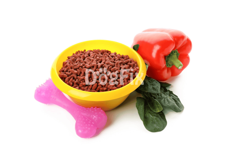 Brightly colored dog food bowl with kibble, fresh peppers, and greens.