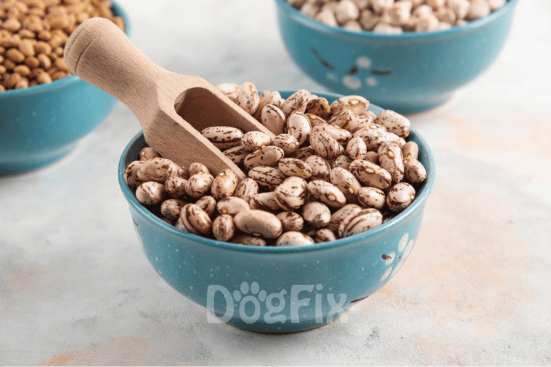 Healthy dog treats made from natural beans, promoting canine health and nutrition.