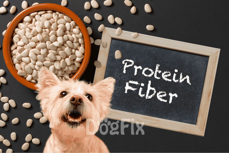 High-protein fiber dog treat with natural ingredients for health and digestion.