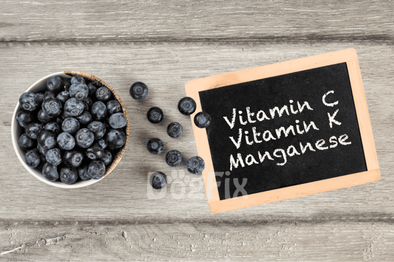 Blueberries rich in vitamins C, K, manganese, antioxidants, and fiber for dogs.