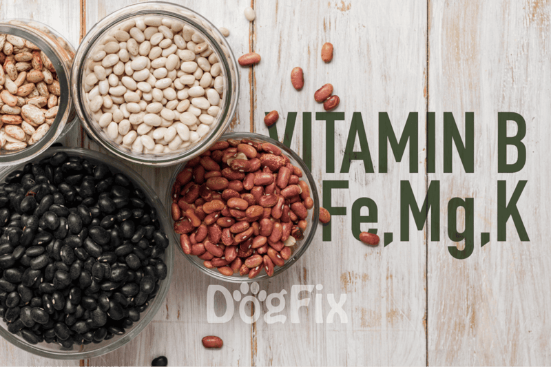 Vitamins and Minerals