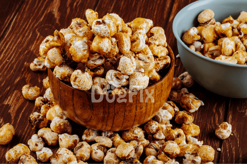 What About a Popcorn Recipe for Dogs