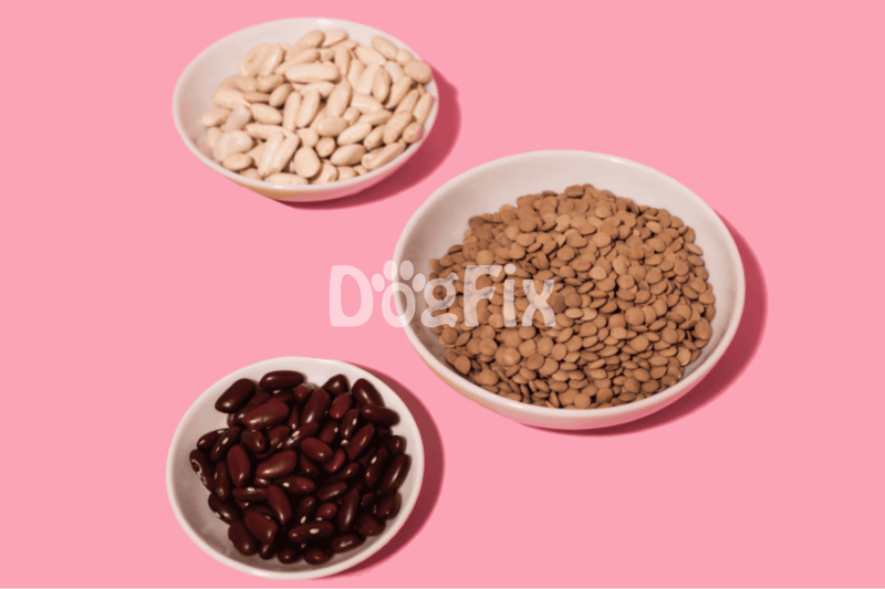 Healthy dog food ingredients with beans and lentils for optimal nutrition.