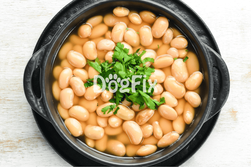 Healthy cooked beans dish with fresh herbs, ideal for nutritious pet meals.