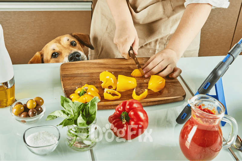 Close-up of a person chopping yellow peppers for dog food, with a curious dog watching attentively.