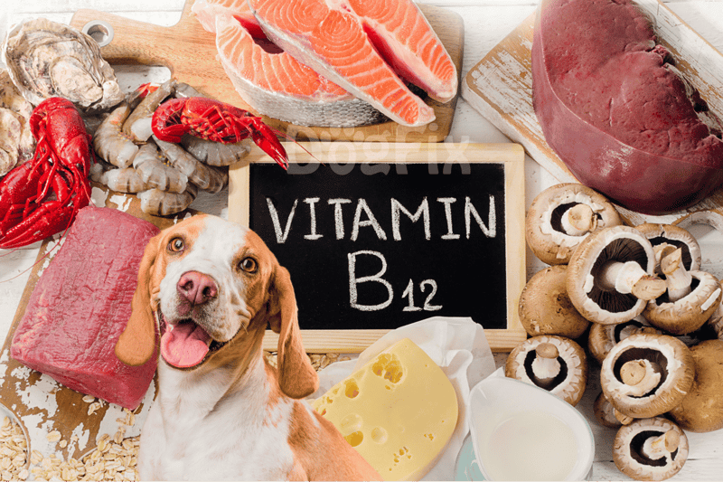 Healthy dog food proteins with Vitamin D.