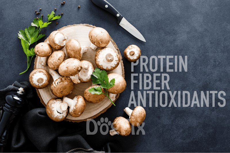 Fresh mushrooms on a wooden plate with parsley, knife, and dog leash, highlighting health benefits for dogs.