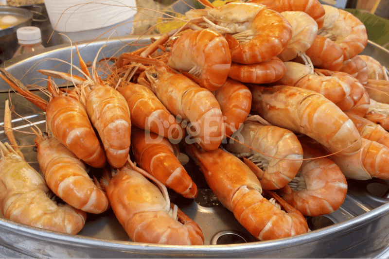 Healthy seafood treats for dogs, fresh prawns, and shellfish.