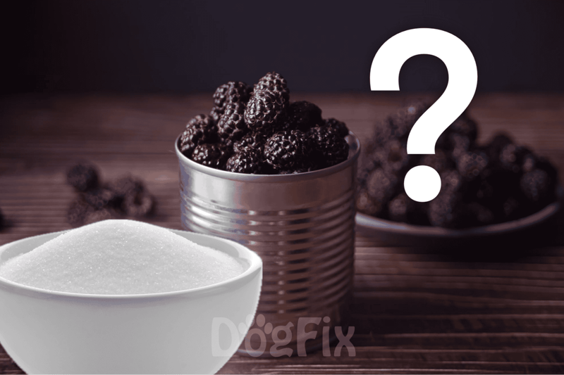 Durian, fresh blackberries, and sugar in bowls for healthy dog treats at DogFix.com.