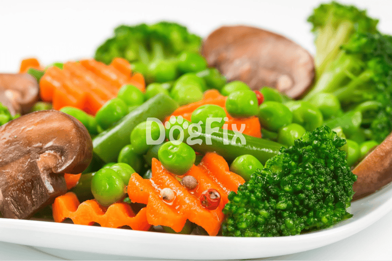 Healthy vegetable dog meal with carrots, peas, broccoli, and mushrooms for nutritious pet diet.
