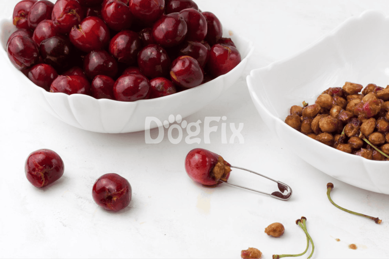 Healthy cherries and snack ingredients for dogs from Dogfix.com.