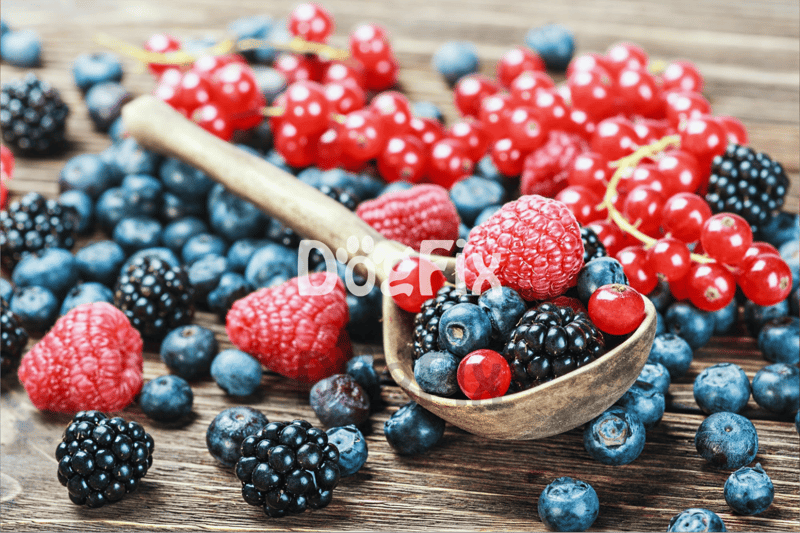 Colorful berries on wooden surface, ideal for healthy dog treats and nutritious snacks.