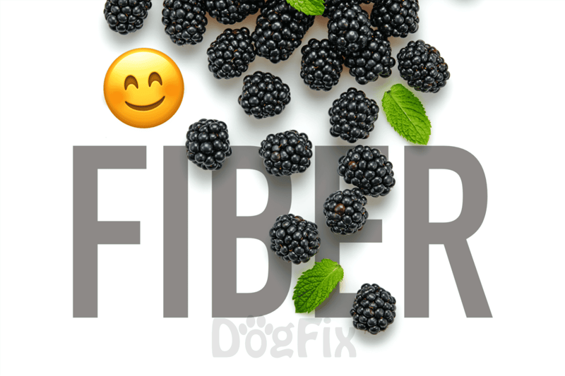 Blackberries scattered with mint leaves, promoting healthy treats for dogs and pet owners.