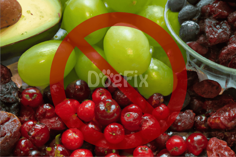 Nutritious fruits for dogs, but avoid giving grapes or berries that may harm their health.