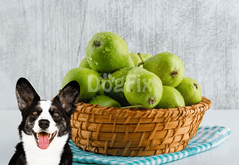 Bright green apples with water droplets in a woven basket, ideal for healthy dog treat options.