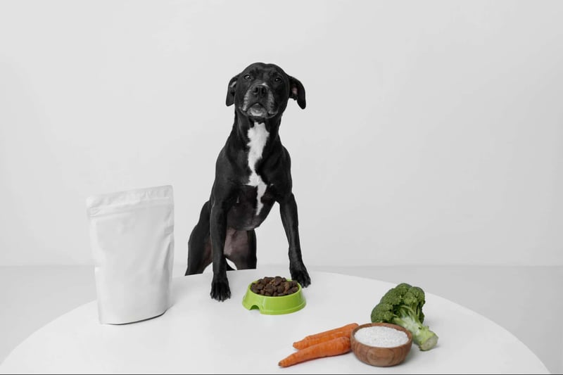 Dog eating nutritious food with veggies and supplements.