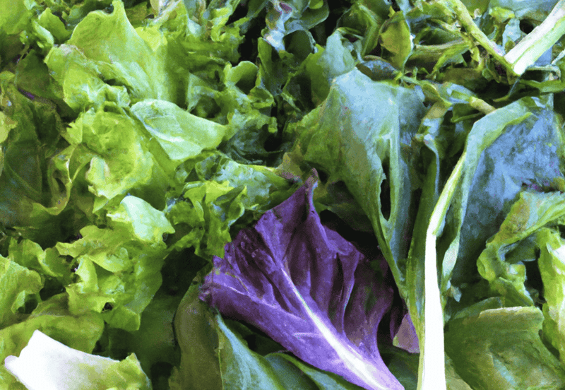 Healthy dog treat ingredients include fresh leafy greens like lettuce and spinach.