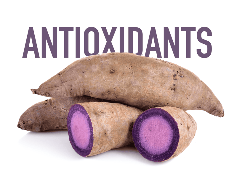 Organic sweet potatoes rich in antioxidants and fiber for healthy dogs. Natural nutrition for your pet's wellbeing.