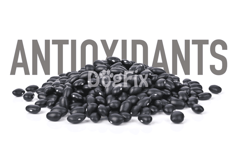 High-quality black beans, natural antioxidants, and fiber for dogs.