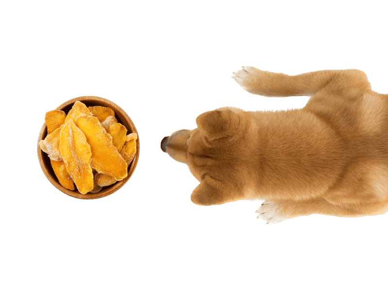 Healthy sweet potato dog treats on white background.