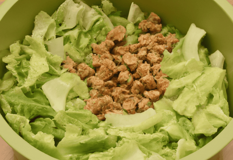 Healthy dog food bowl with fresh lettuce and ground meat.