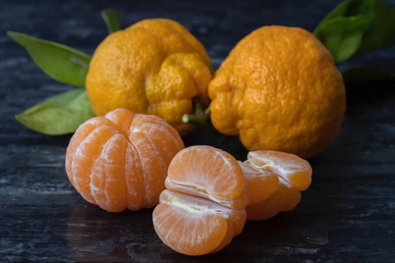 Are Clementines a Canine No-No