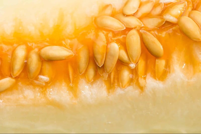 Close-up of fresh melon seeds inside ripe melon.