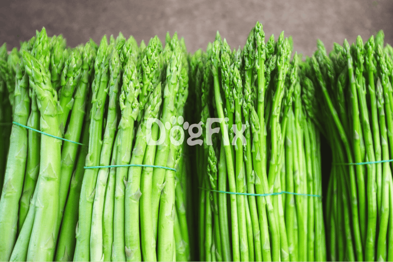 Bright green asparagus bundles ready for cooking and healthy recipes. Ideal for nutritious meals and vegetable dishes.