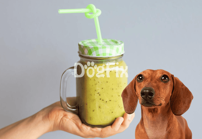 Healthy dog smoothie with fresh ingredients, perfect hydration and nutrition for pets.