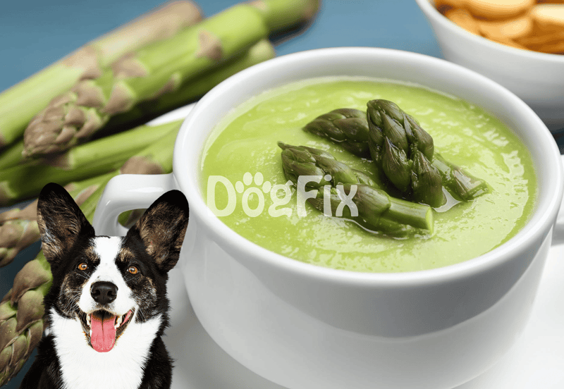 Healthy dog food image with dog fix branding.
