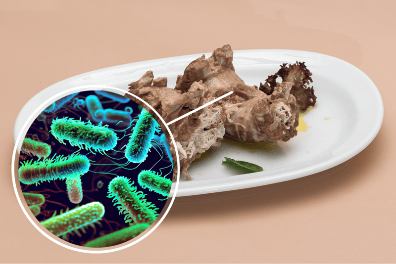 Healthy dog food with probiotics for gut health.