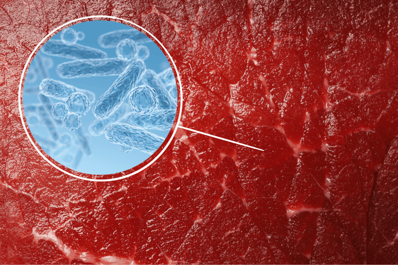 High-resolution image of raw meat with bacteria depiction for pet health and safety focus.