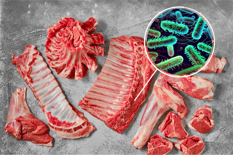 Close-up of raw meat with an inset showing bacteria on a petri dish, emphasizing food safety for pets.