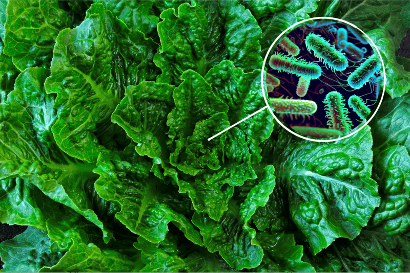 Healthy greens showing microscopic bacteria for gut health benefits.