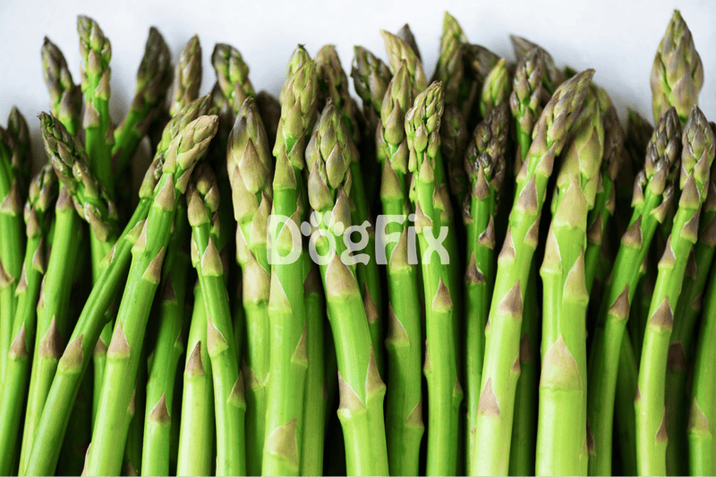 Close-up of fresh green asparagus spears, vibrant and crisp, ideal for healthy meals and recipes.