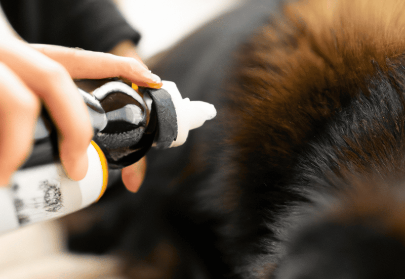 Dog grooming, skin care, veterinary treatment for dogs, pet health, dog hygiene.