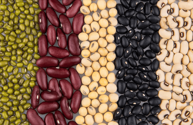 Colorful assortment of beans including black, kidney, soy, and chickpeas, ideal for nutritious dog food recipes.