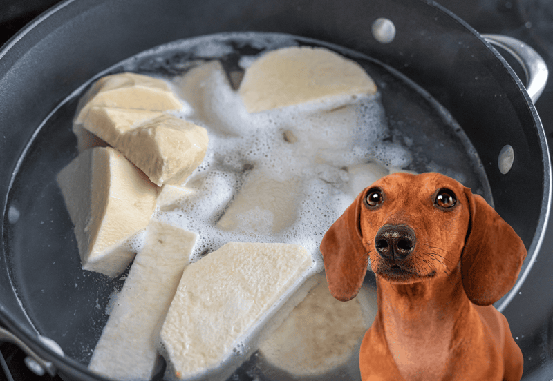 Dog enjoying melted cheese in a hot pan, showcasing homemade dog-friendly snack ingredients.