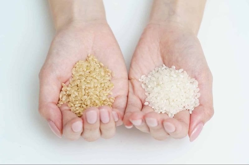 High-quality brown rice and white rice for healthy dogs.
