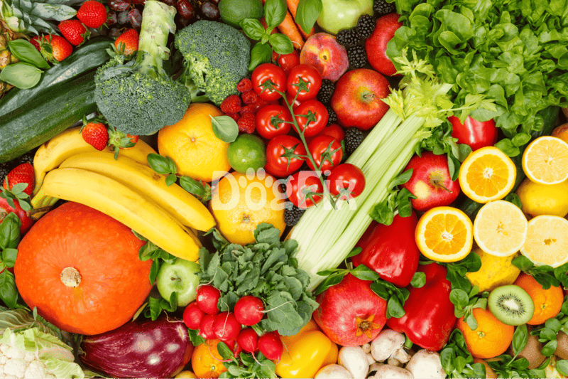 Healthy fresh produce including berries, citrus, tomatoes, and greens for dog-friendly nutrition.