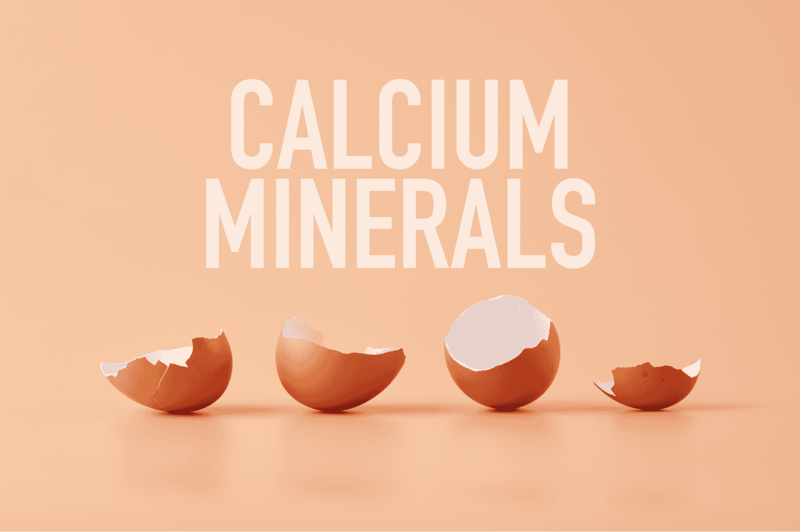 Eggshells showcasing calcium and mineral source for dog nutrition and health supplements.